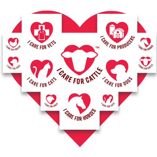 I CARE FOR ANIMALS